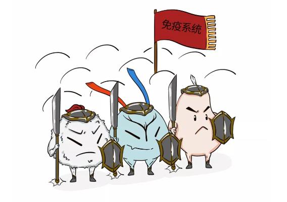 包含里昂后防策应相当默契，防线如铁壁一般的词条